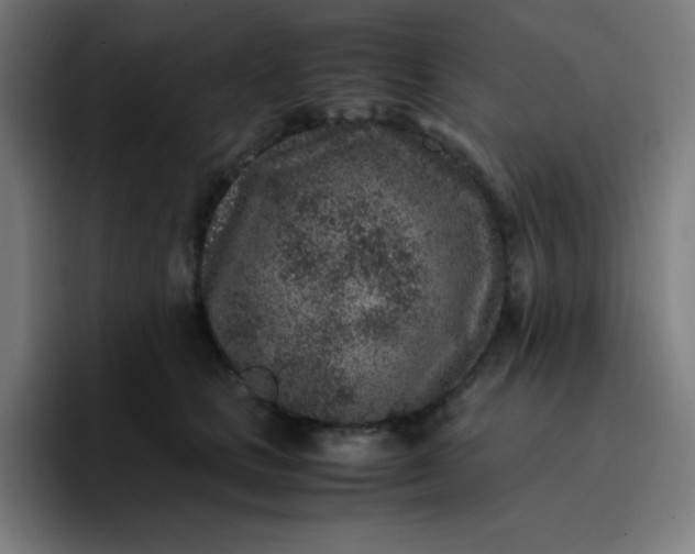 X0000096730661200802191549