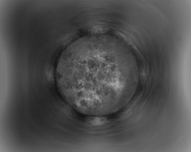 X0000096730663200802191549