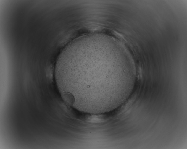 X0000096730664200802191549