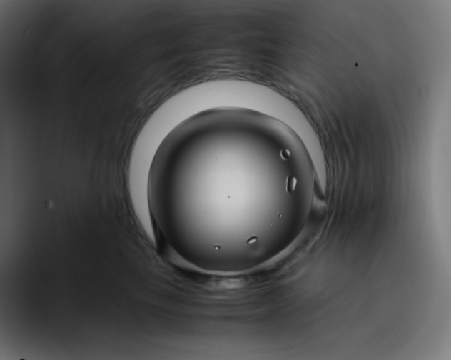 X0000096730665200802191549