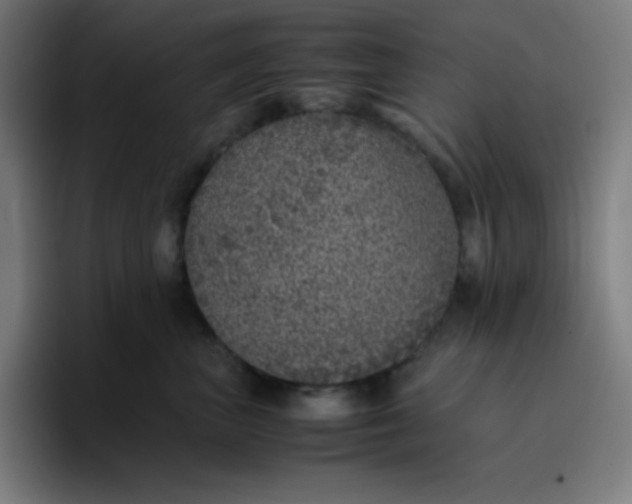 X0000096730667200802191549