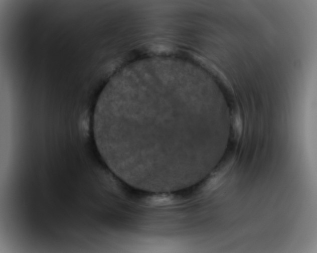 X0000096730668200802191549