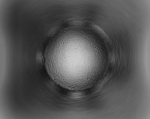 X0000096730669200802191549