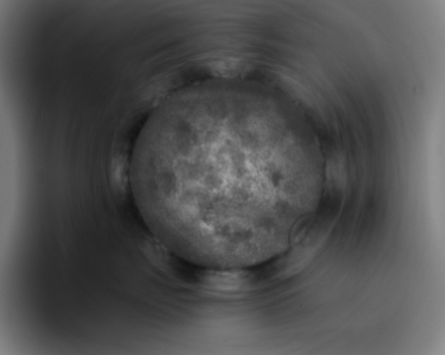 X0000096730671200802191549