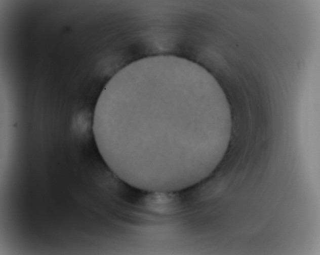 X0000096730672200802191549