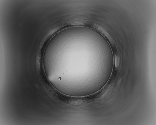 X0000096730675200802191549