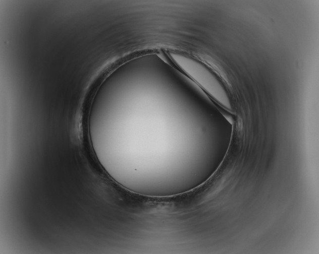 X0000096730676200802191549