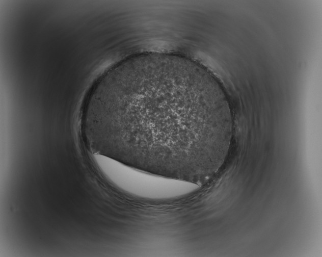 X0000096730679200802191549