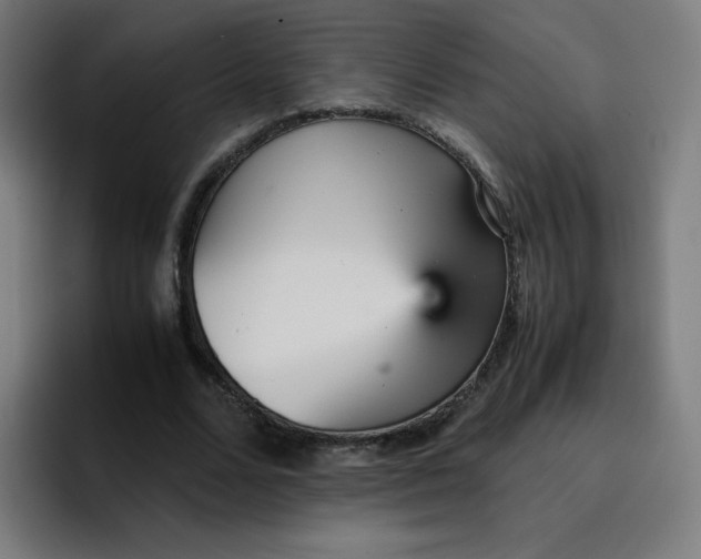 X0000096730680200802191549