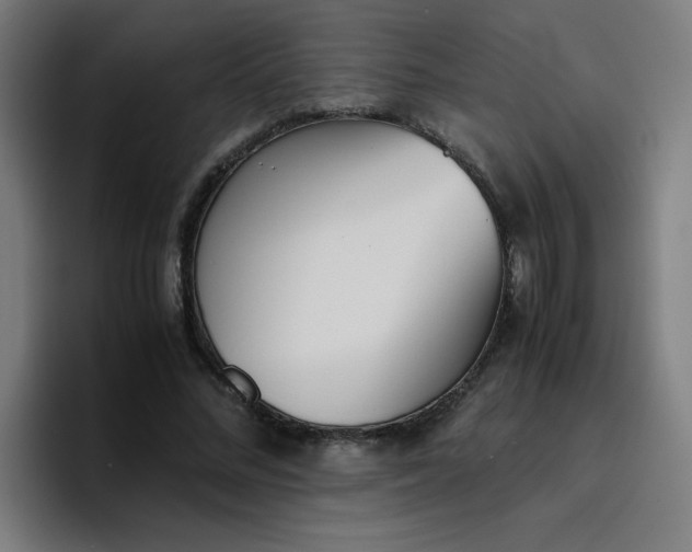 X0000096730684200802191549