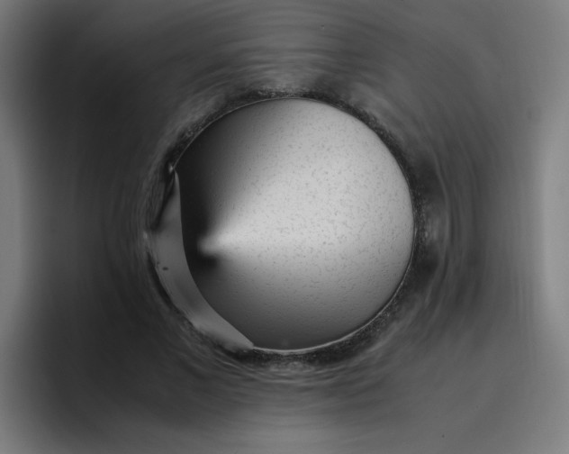 X0000096730685200802191549