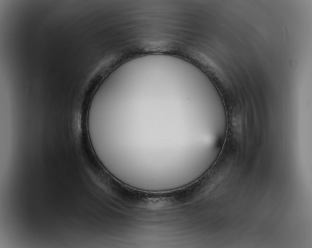 X0000096730686200802191549