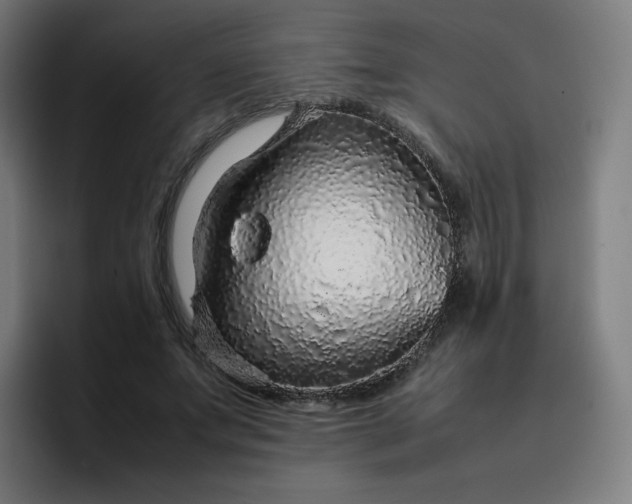 X0000096730687200802191549