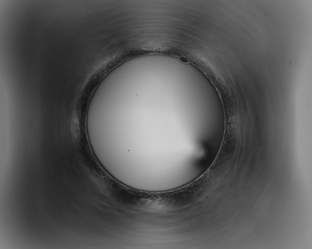 X0000096730688200802191549