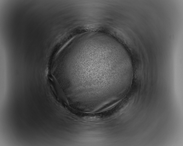 X0000096730689200802191549