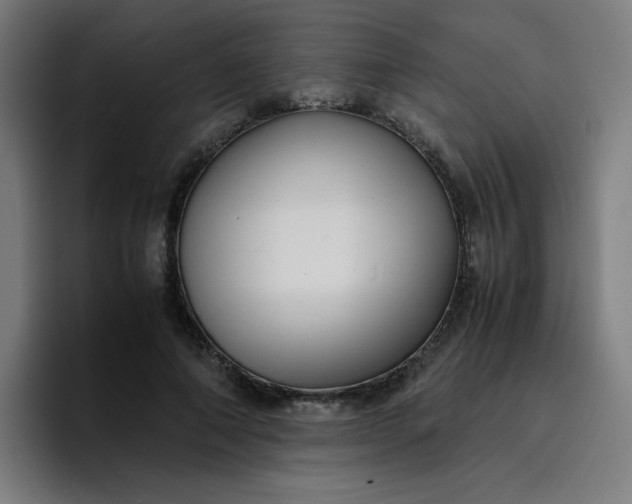 X0000096730690200802191549