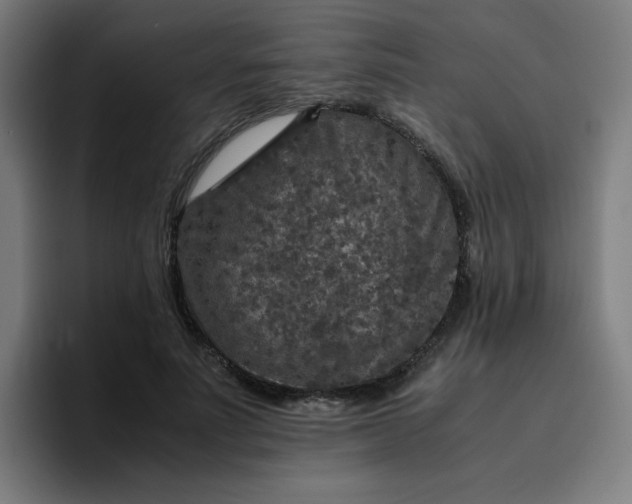 X0000096730691200802191549