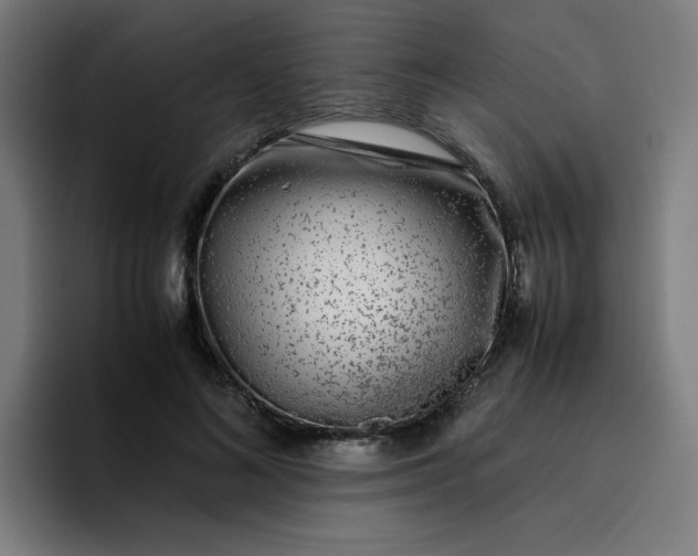 X0000096730692200802191549