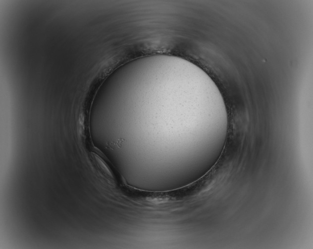 X0000096730693200802191549