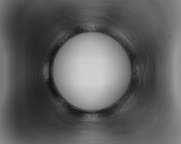 X0000096730694200802191548