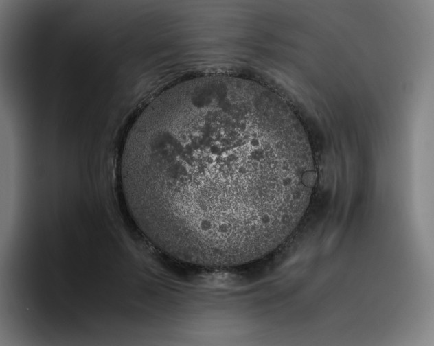 X0000096730695200802191548