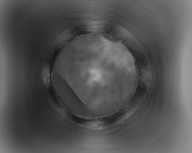 X0000096730696200802191548