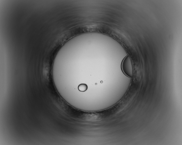 X0000096730698200802191548