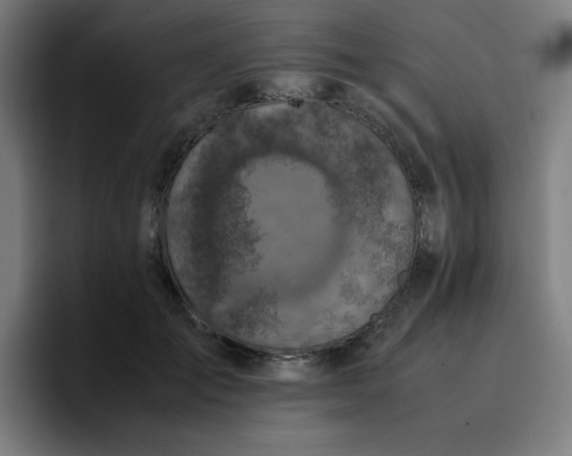 X0000096730701200802191548