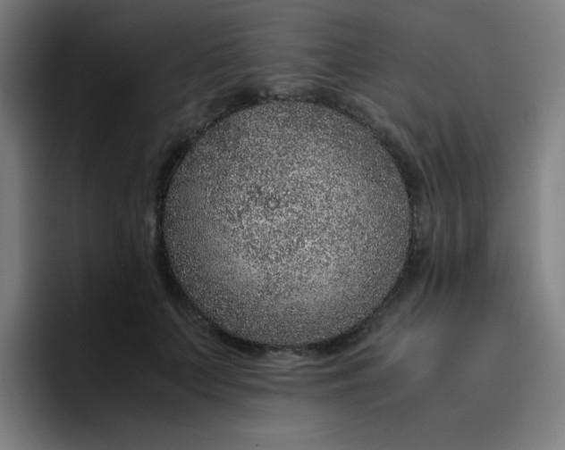 X0000096730703200802191548