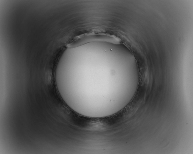 X0000096730704200802191548