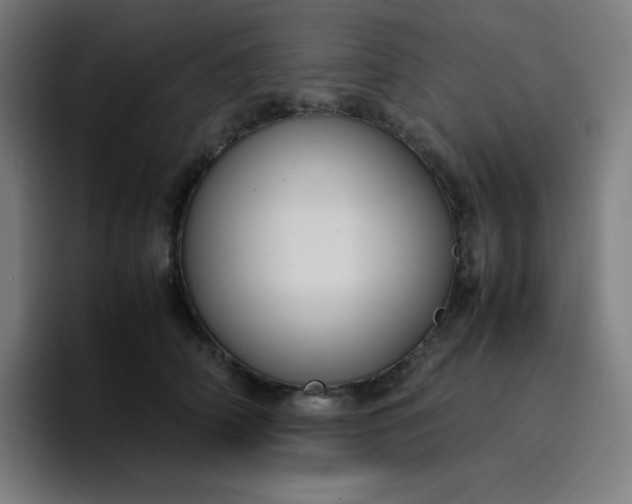 X0000096730706200802191548