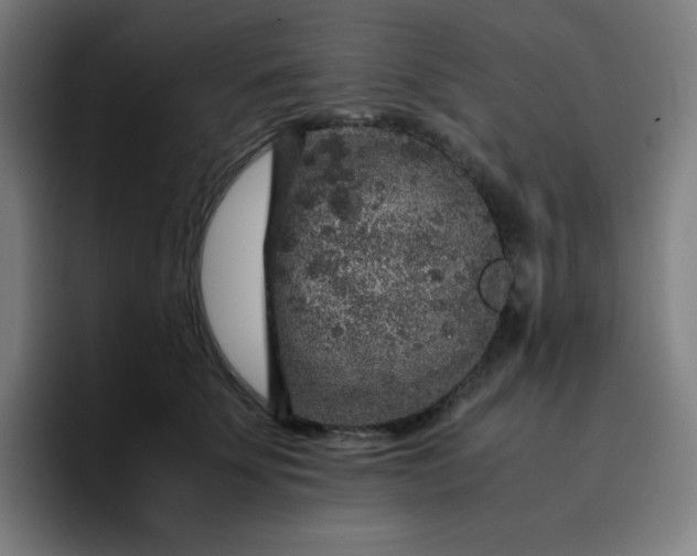 X0000096730707200802191548