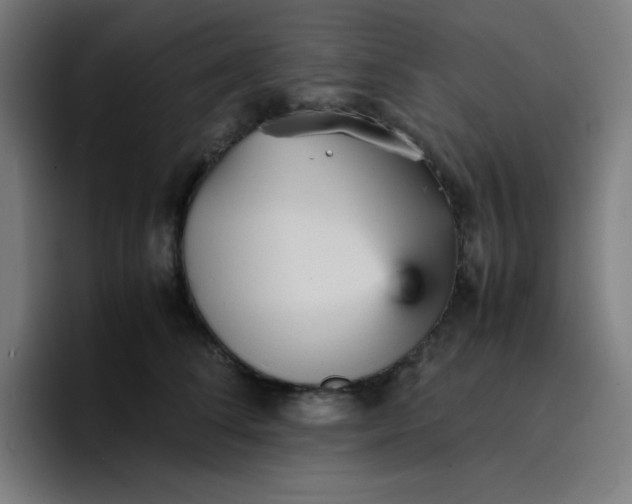 X0000096730708200802191548