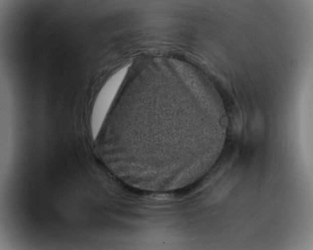 X0000096730711200802191548