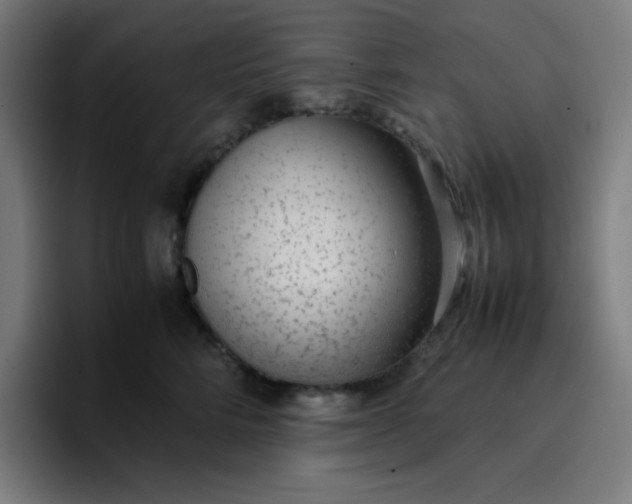 X0000096730712200802191548