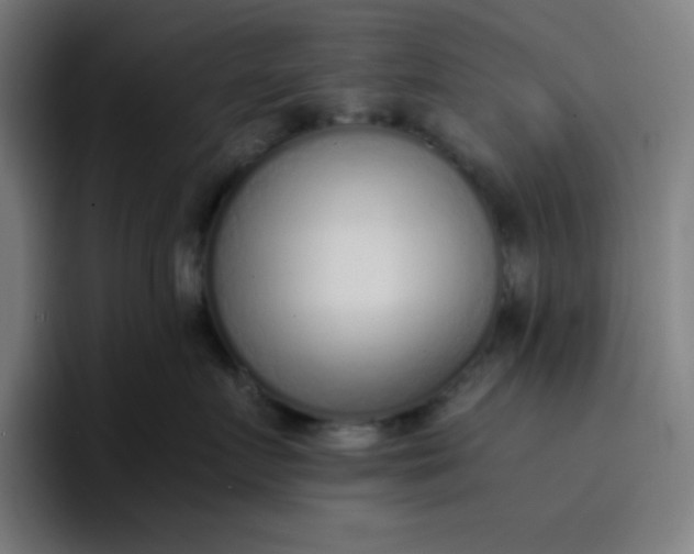 X0000096730719200802191548