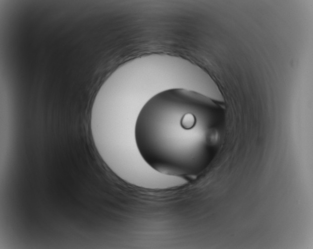 X0000096730720200802191548