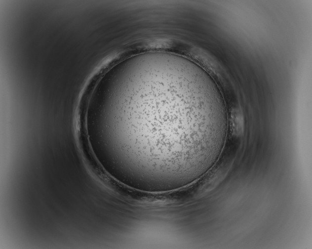 X0000096730726200802191548