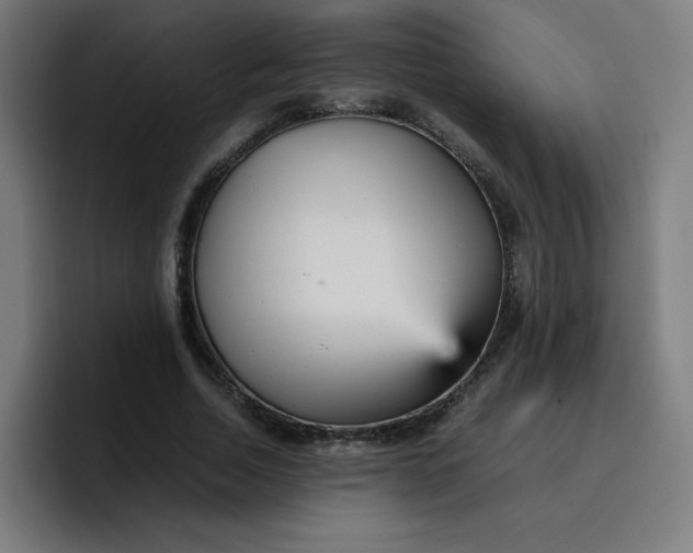 X0000096730730200802191548