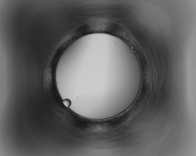 X0000096730731200802191548