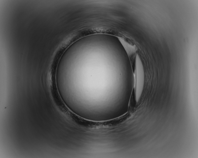 X0000096730734200802191548