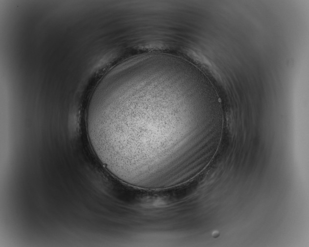 X0000096730735200802191548