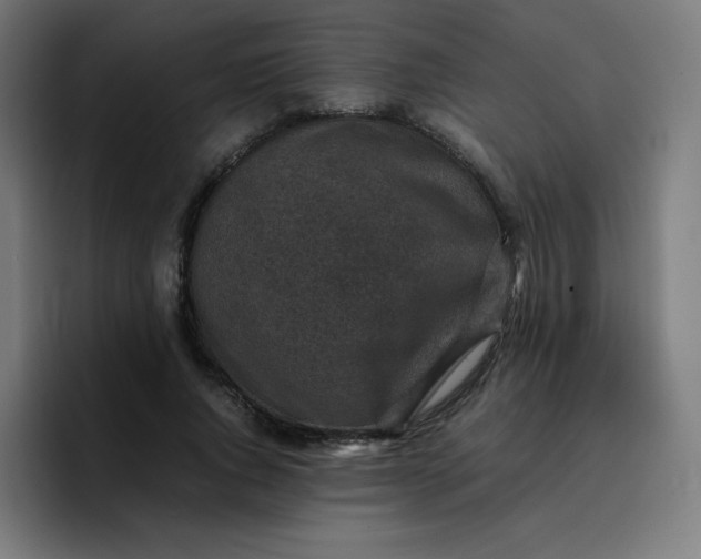 X0000096730736200802191548