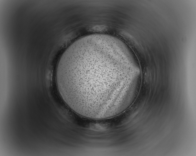 X0000096730739200802191548