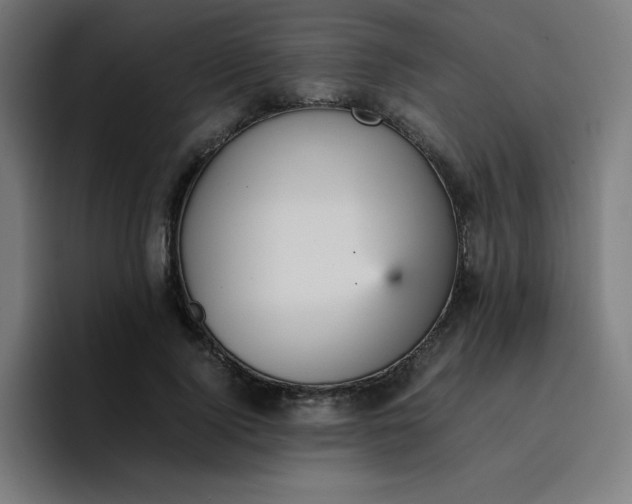 X0000096730740200802191548