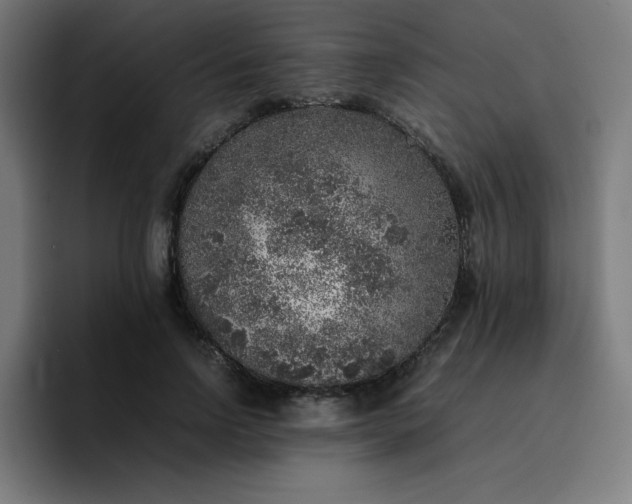 X0000096730742200802191548