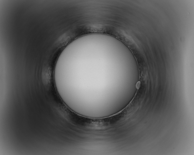 X0000096730744200802191548