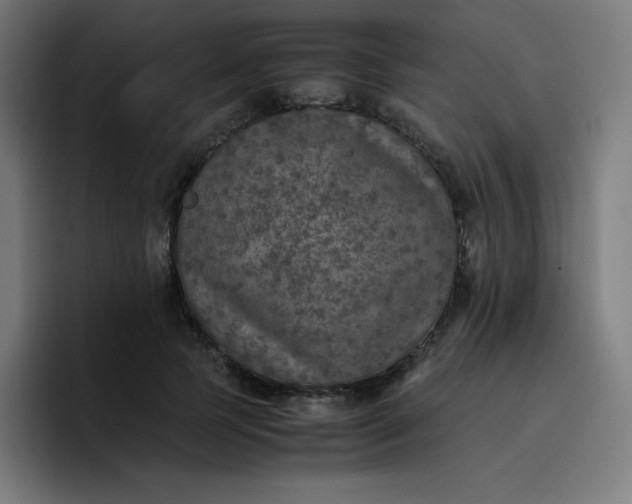 X0000096730745200802191548