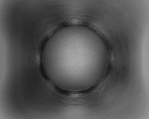 X0000096730746200802191548