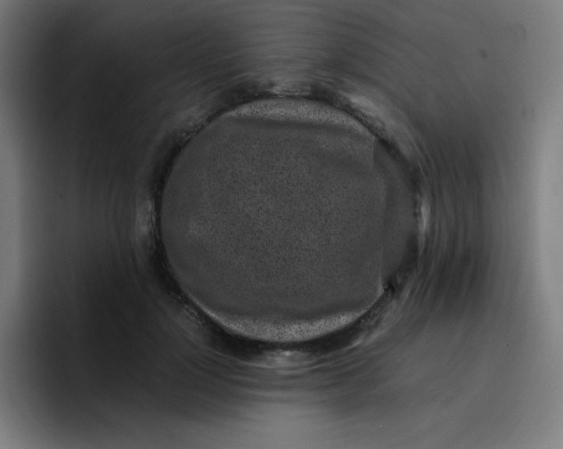 X0000096730748200802191548